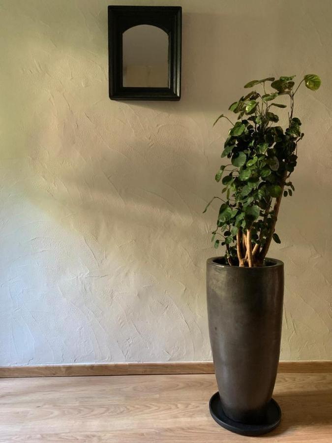Le Patio D'arles Bed & Breakfast 2*
